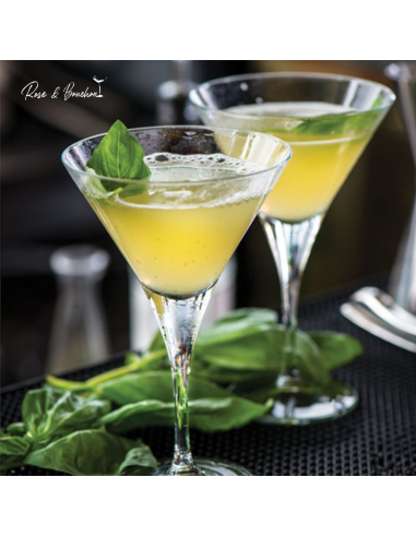 Coupe Martini (Pack de 6 verres)