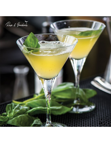 Coupe Martini (Pack de 6 verres)