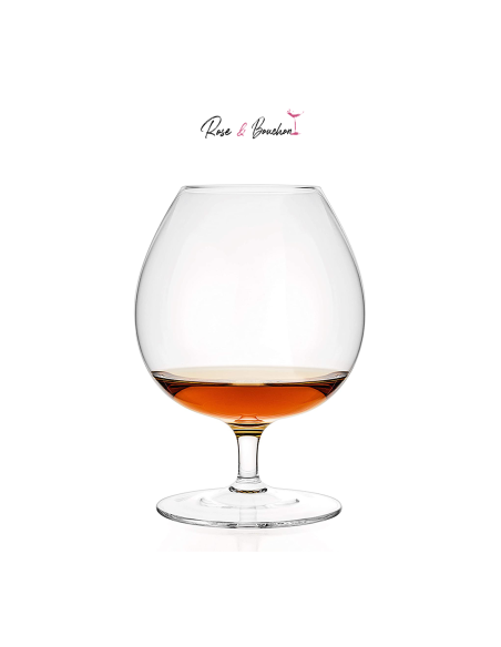 Pack de 6 Verres à Cognac Fantasy