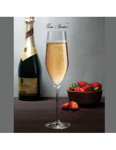 Coupe de champagne Vinifera Stemware Nude